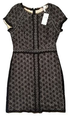 NWT Max and Cleo Black Lace Cap Sleeve Fitted Sheath Dress Size 8 MSRP $128